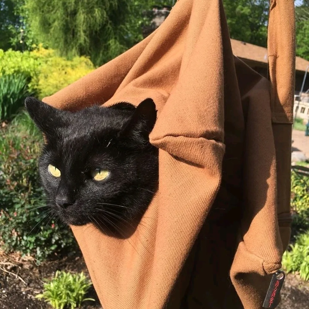 Cat-in-the-bag-Green. cat carriers soft cat bags for travel, medicating